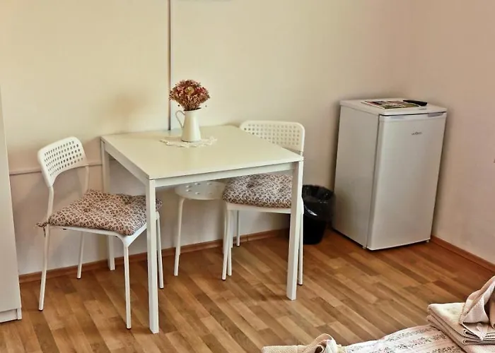 Hostel Lednacek *